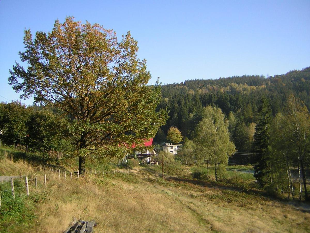 Pokoje Goscinne Angelika Wisła Eksteriør billede